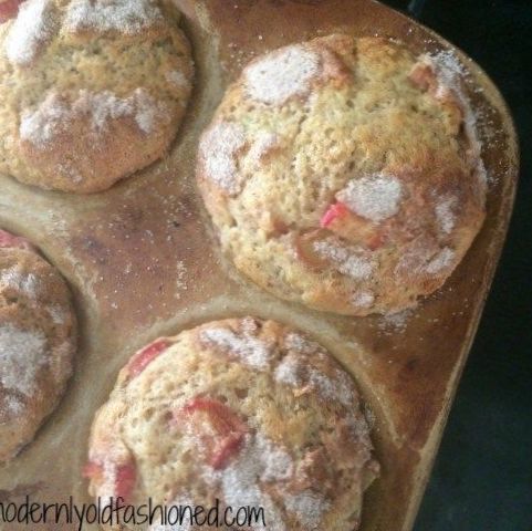 No Count Baked Rhubarb and Apple Porridge